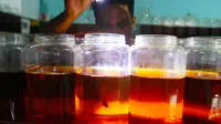 Mengintip Bisnis Ikan Cupang Selama Pandemi Covid-19 di Surabaya