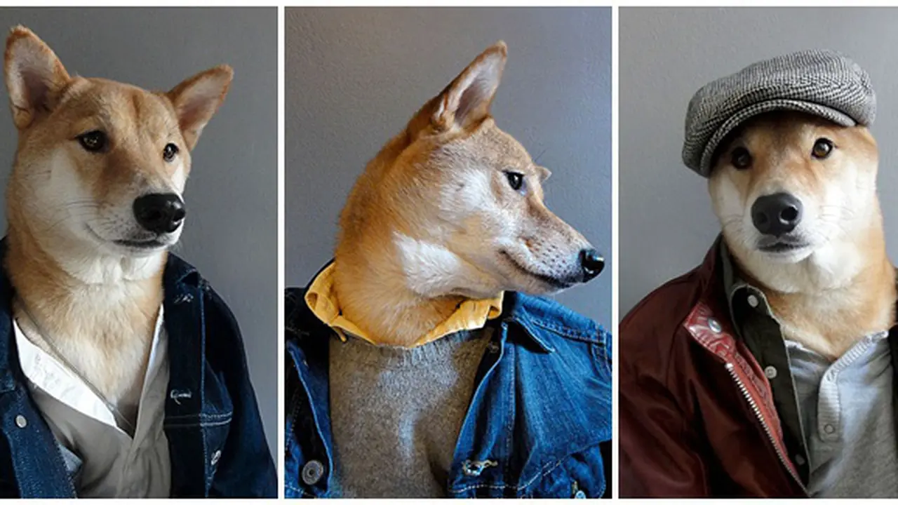 (c) mensweardog.tumblr.com