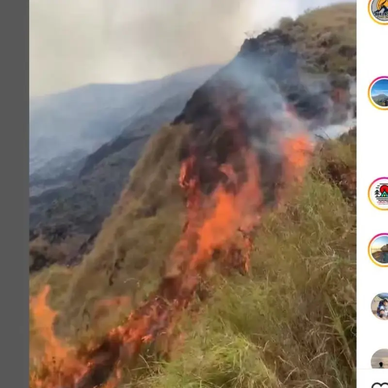 Bukit Anak Dara di Kaki Gunung Rinjani Terbakar, Jalur Pendakian Ditutup Sementara