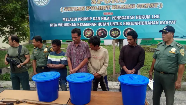 Beruang Madu