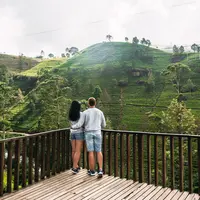 ilustrasi bulan madu kebun teh/Sotnikov Misha/Shutterstock