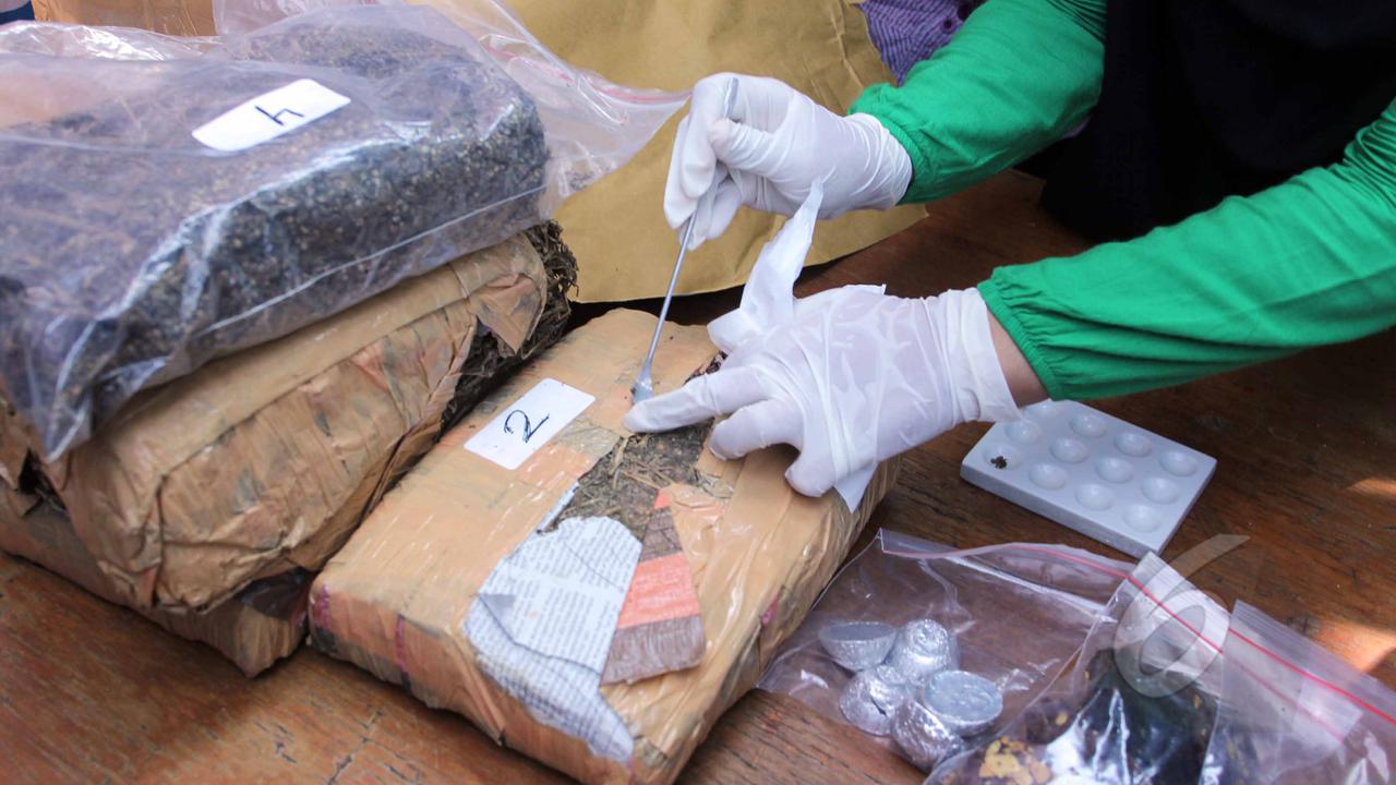 BNN Kembali Musnahkan Kue Cookies Mengandung Ganja