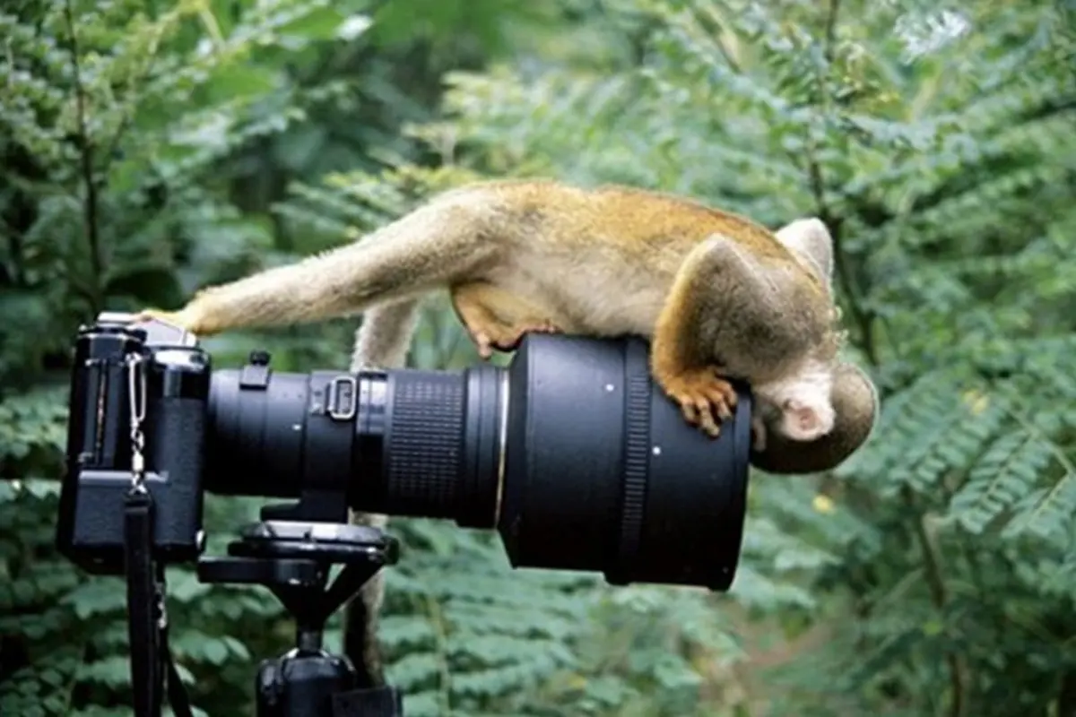 10 Foto Selfie Paling Extrim Dan Menantang Maut Di Dunia