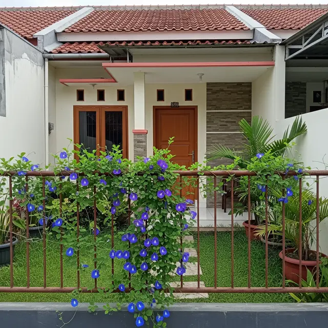 14 Tanaman Rambat Selain Labu yang Cocok Ditanam di Pagar Besi, Dekorasi Alami
