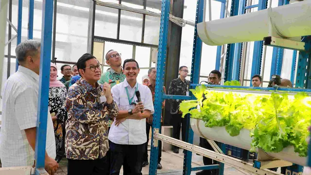 Gubernur DKI Jakarta, Pramono Anung meninjau lokasi pertanian vertikal Ladang Farm di Cilandak, Jakarta Selatan, Kamis (18/9/2025).