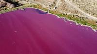 Akibat pencemaran limbah, warna air danau di Argentina ini berubah menjadi pink. (Photo credit: DANIEL FELDMAN/AFP)