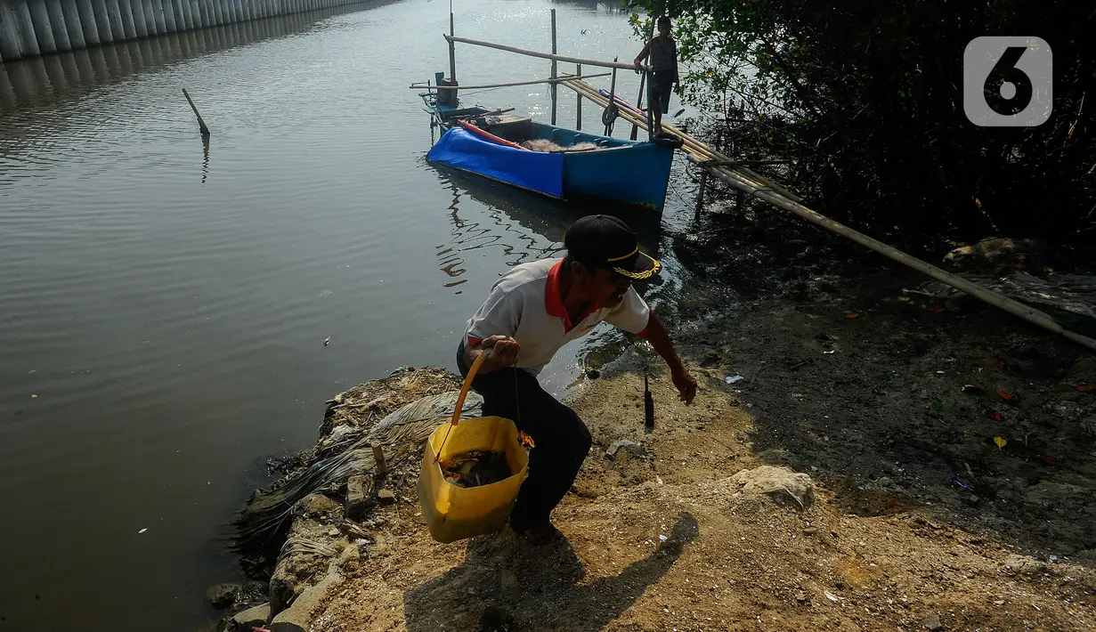 Pendapatan tersebut belum dipotong biaya solar dan jaring yang rusak. (merdeka.com/Arie Basuki)