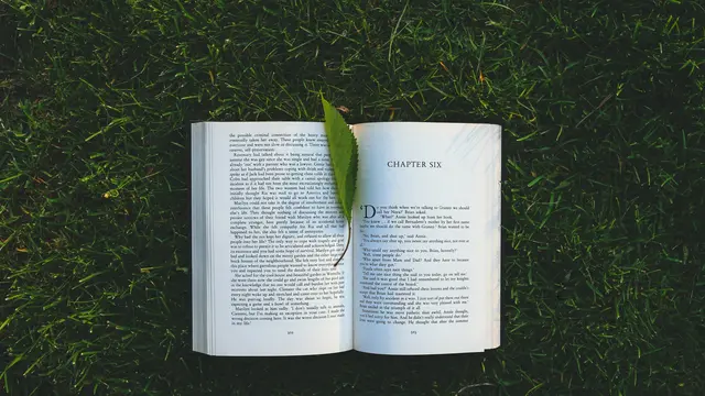 Kutipan Novel Autumn in Paris Tentang Cinta