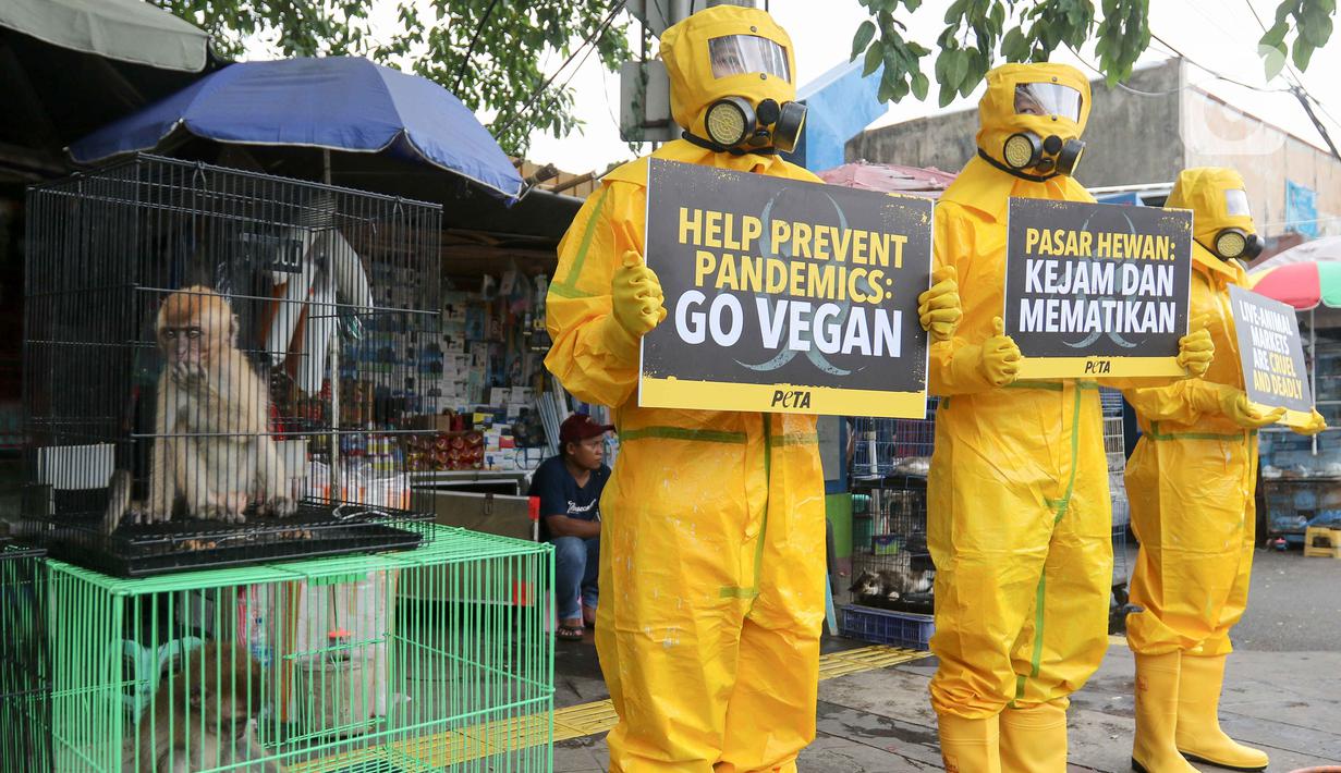 Aktivis People for the Ethical Treatment of Animals (PETA) menggunakan Alat Pelindung Diri (APD) saat melakukan aksi protes di Pasar Hewan Jatinegara, Jakarta, Selasa (12/11/2024). (Liputan6.com/Herman Zakharia)