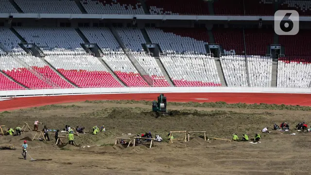 Rumput Lapangan Stadion GBK Dirombak Total
