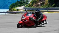 Suzuki Hayabusa (Paultan)