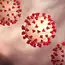 Demam, batuk kering, dan napas pendek, merupakan gejala utama terpapar virus corona.