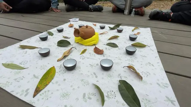 Menemukan Kedamaian dalam Forest Bathing di Tai Mo Shan Country Park, Hong Kong