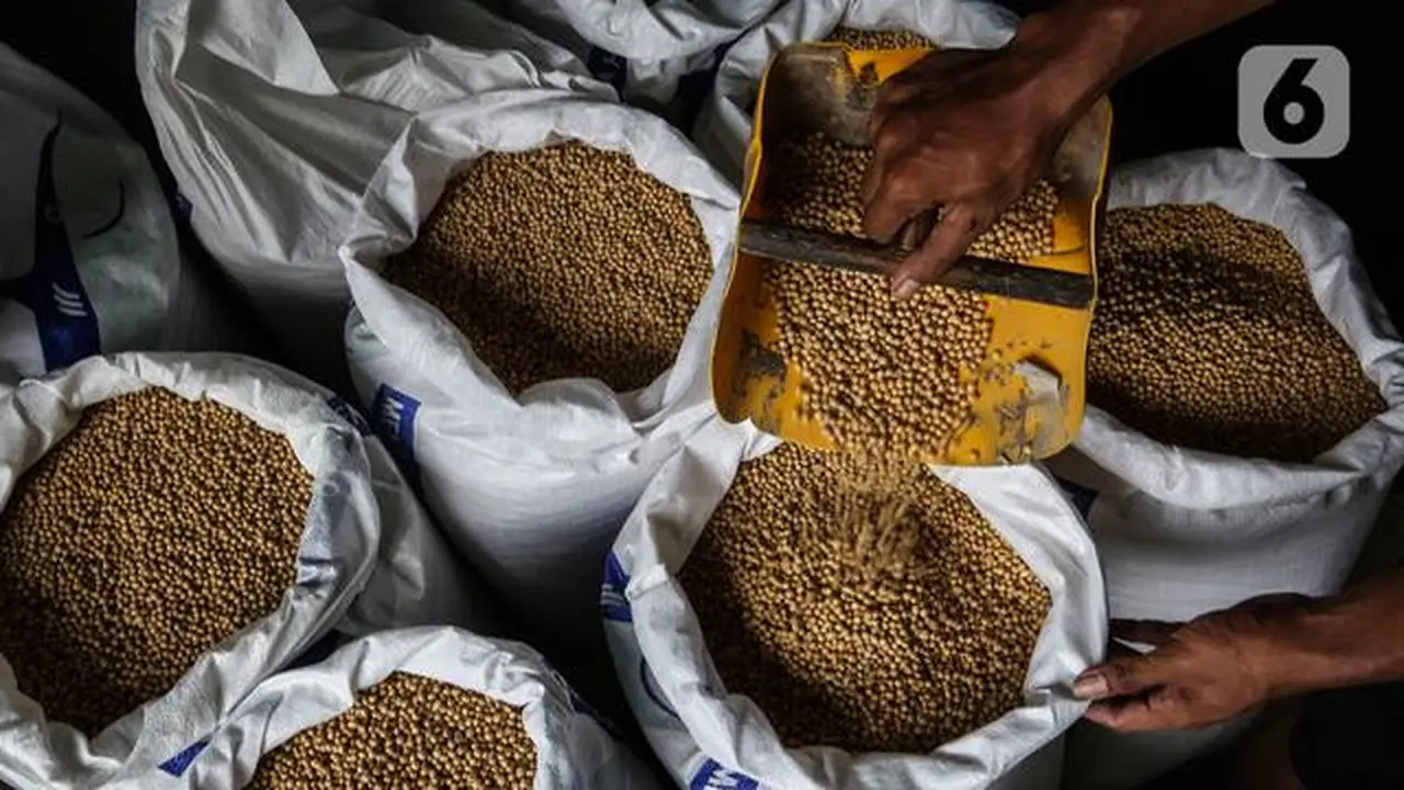 Kemendag memperkirakan harga kedelai global masih bertahan di level tinggi sampai Mei 2021 akibat ketatnya pasokan dari negara produsen dan naiknya permintaan. (Liputan6.com/Johan Tallo)