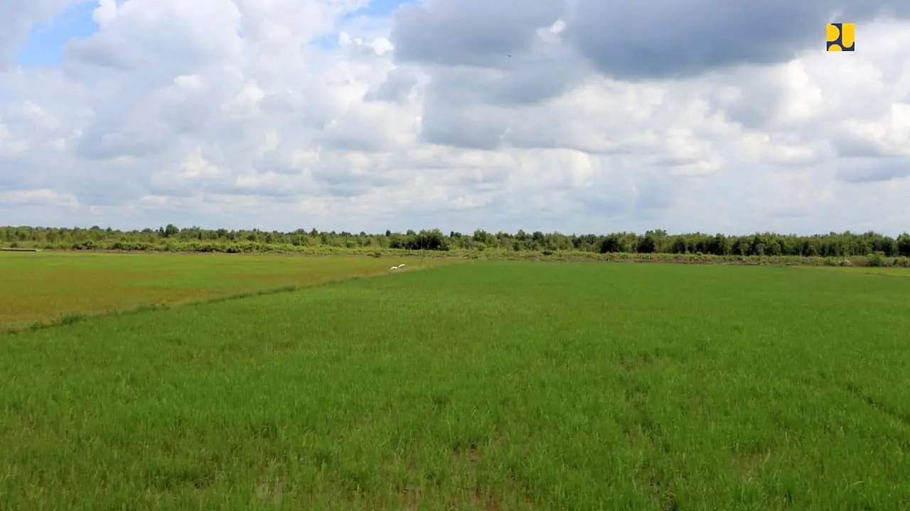 Kementerian PUPRtengah melakukan rehabilitasi dan peningkatan jaringan irigasi di kawasan food estate di Kalimantan Tengah (Kalteng).