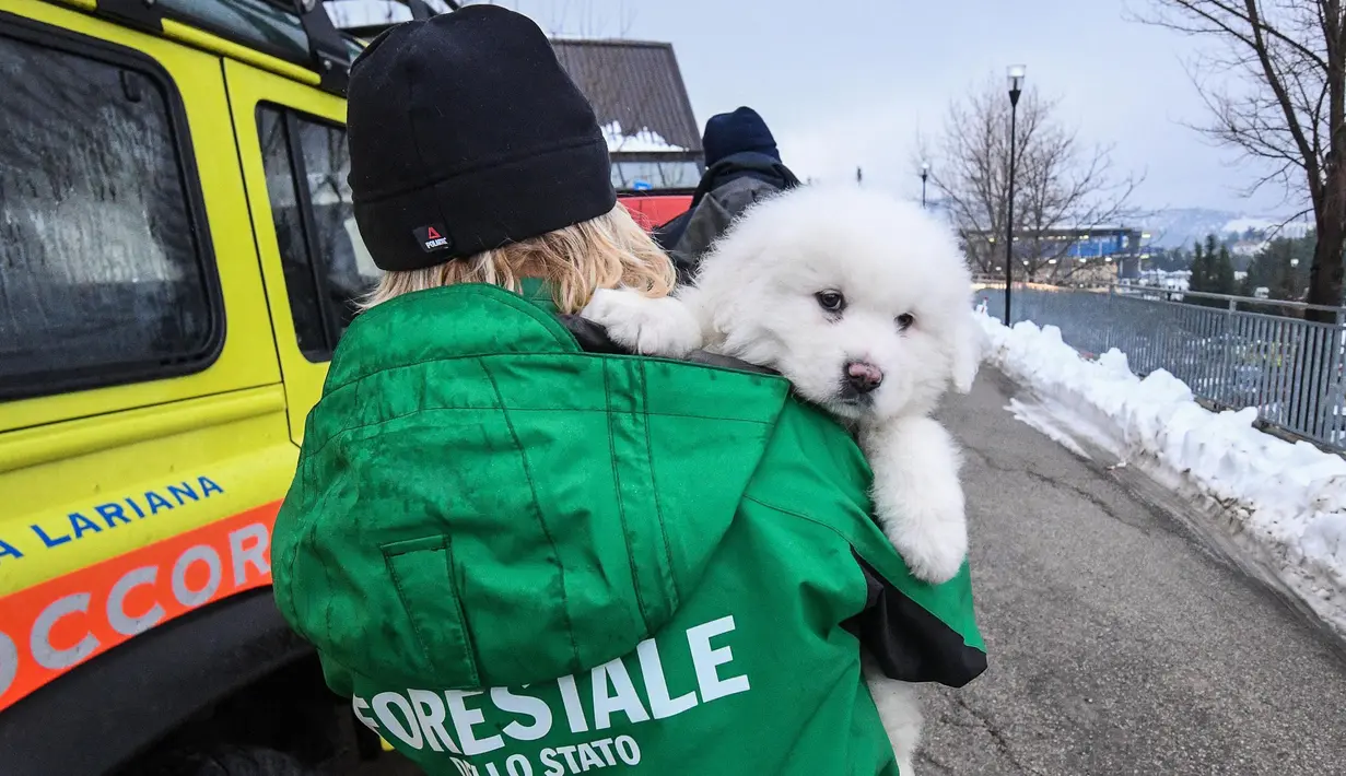 Seorang petugas menggendong anak anjing yang berhasil diselamatkan dari reruntuhan Hotel Rigopiano di Farindola, Italia (22/1). Regu penyelamat setempat mengatakan enam orang telah ditemukan hidup di hotel tersebut.  (Alessandro Di Meo / ANSA via AP)