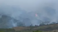 Tim gabungan TNGC terus berupaya memadamkan api dan menyelidiki penyebab terjadinya kebakaran di kawasan hutan Gunung Ciremai Kabupaten Kuningan Jawa Barat. screeshoot (Liputan6.com / Panji Prayitno)