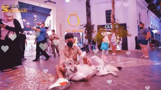 6 Potret Alshad Ahmad Ajak Serigala Jalan-Jalan di Mal, Jadi Pusat Perhatian