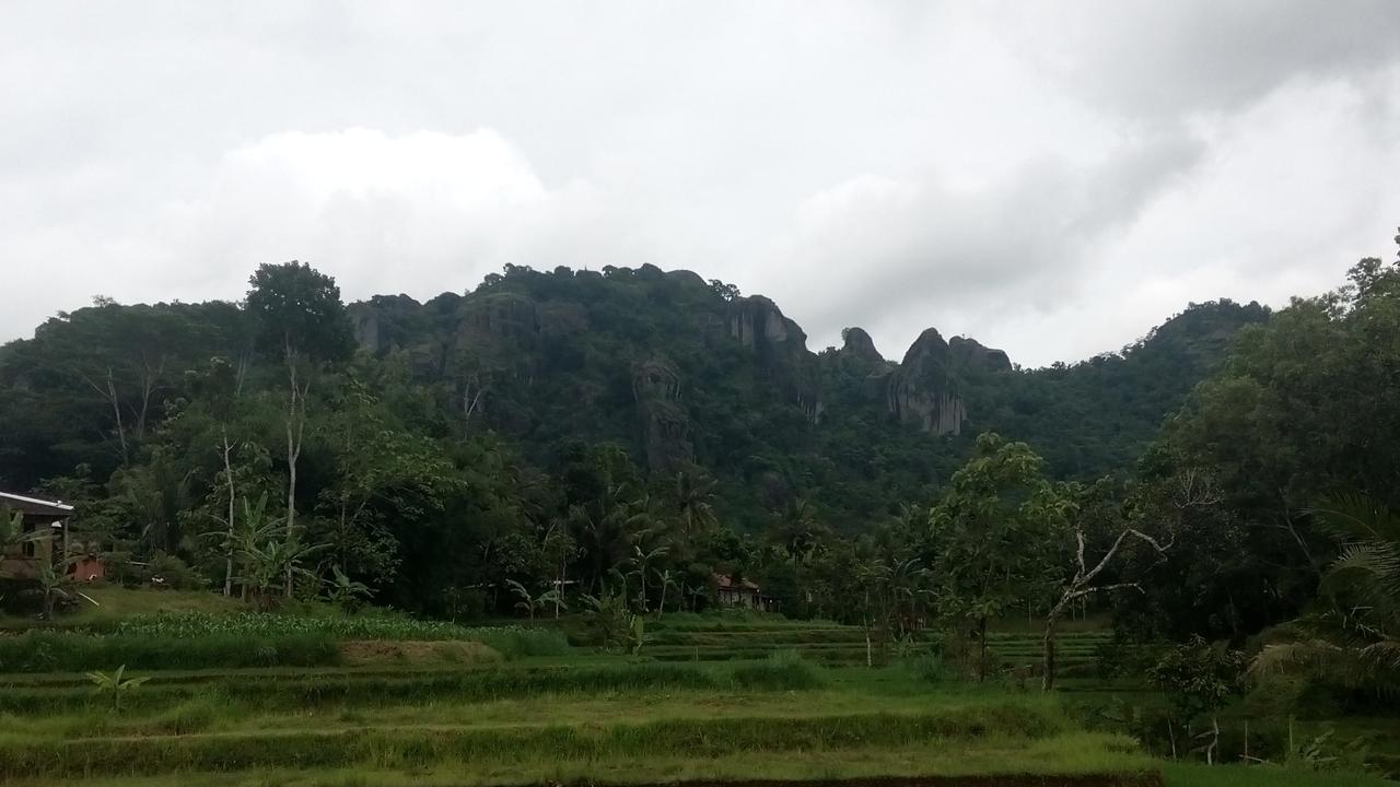 Para Mantan TKI Makin Betah Tinggal di Nglanggeran