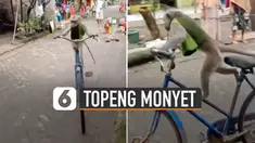 Aksi unik dan menakjubkan diperlihatkan oleh seekor monyet ketika beraksi memakai sepeda besar.