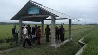 Petani di Desa Dalangan Sukoharjo menerapkan sistem pertanian modern