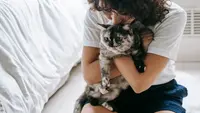 Cara Kucing Memilih Orang yang Disukainya, Ternyata Bukan Sekadar Soal Siapa yang Memberi Makan