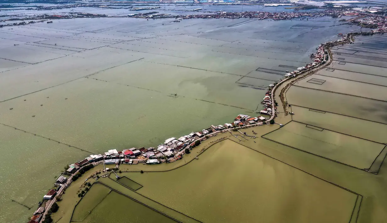 Di sisi lain, pemerintah Indonesia berencana membangun tembok laut sepanjang 700 kilometer dengan anggaran 80 miliar dolar AS di sepanjang pantai Jawa. Tampak dalam foto yang diambil pada 30 Juli 2025 menunjukkan pemandangan udara rumah-rumah yang sebagian terendam akibat kehilangan lahan akibat perubahan iklim di Desa Bedono, Demak, Jawa Tengah. (BAY ISMOYO/AFP)
