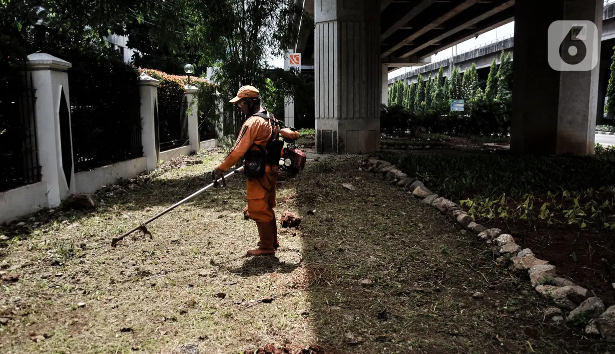 Petugas penanganan prasarana dan sarana umum (PPSU) Kelurahan Cipinang Besar Selatan saat menyelesaikan pembuatan taman di Jalan DI Panjaitan, Jakarta Timur, Rabu (14/12/2022). Aturan pembatasan usia maksimal Penyedia Jasa Lainnya Perorangan (PJLP) DKI Jakarta tertuang dalam Keputusan Gubernur (Kepgub) Nomor 1095 Tahun 2022 tentang Pedoman Pengendalian Penggunaan Penyedia Jasa Lainnya Perorangan di Lingkungan Pemerintah Provinsi Daerah Khusus Ibu Kota Jakarta. (merdeka.com/Iqbal S. Nugroho)