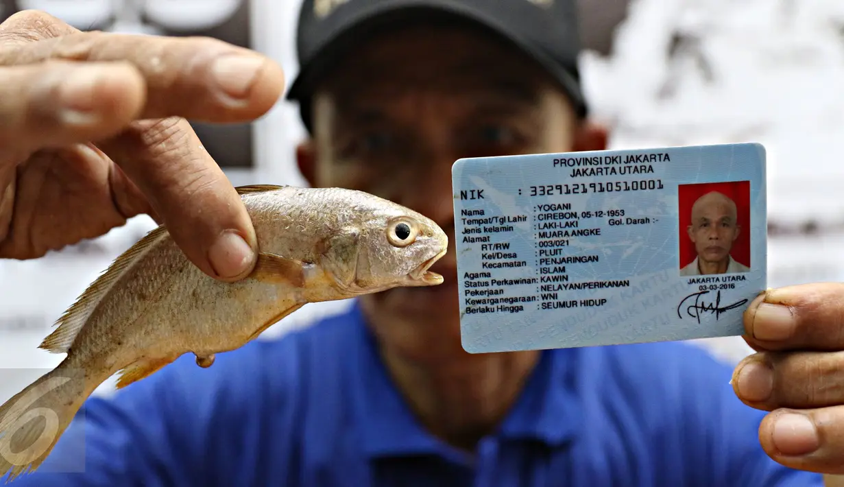Nelayan menunjukkan bukti ikan dan KTP di Lembaga Bantuan Hukum (LBH) Jakarta, Selasa (19/4). Hal itu dilakukan setelah mereka diragukan Gubernur DKI Jakarta Basuki Tjahaja Purnama "Ahok" ikut dalam penyegelan Pulau G. (Liputan6.com/Immanuel Antonius)