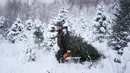 Tanggal 22 Desember adalah hari terpendek dalam setahun di Estonia. Seperti di banyak belahan dunia lainnya, pepohonan yang diselimuti lampu menerangi rumah dan alun-alun kota selama titik balik Matahari musim dingin dan perayaan Natal sesudahnya. (AP Photo/Pavel Golovkin)
