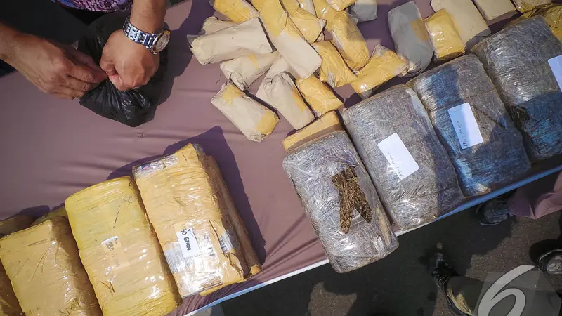 Ganja Aceh Senilai Rp 500 Juta Diamankan Polisi