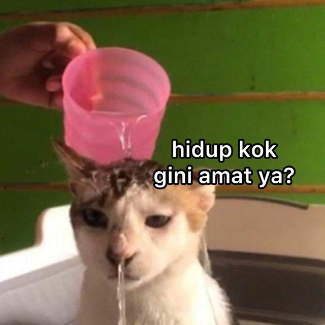 8 Meme Capek Jalani Hidup ala Netizen Ini Bikin Tepuk Jidat