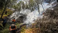 Kebakaran Bromo Diduga Akibat Human Error, Ini Kata Menko Polkam