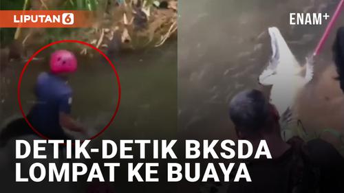 VIDEO: Tegang! Tim BKSDA Lompat ke Buaya di Padang