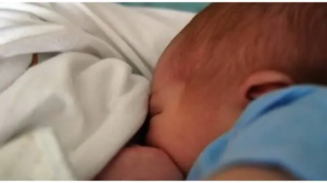 Foto : copyright oddee.com