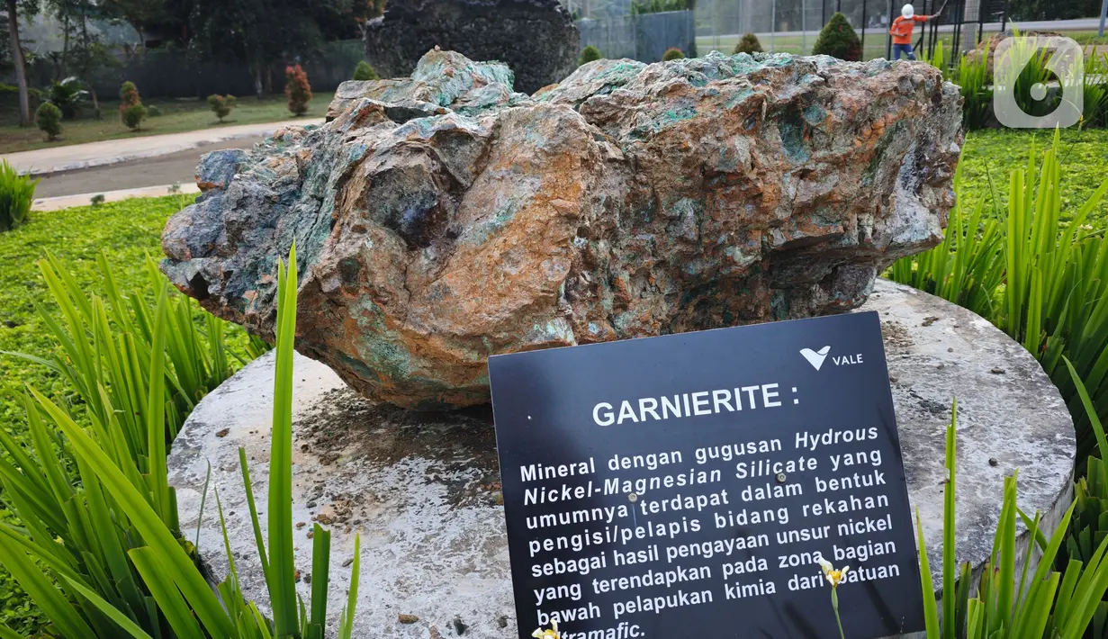 Di dekat pintu masuk Taman Sariwegading Wallacea terdapat pajangan batuan mengandung nikel yang menjadi hasil pertambangan yang diekstraksi dari perut bumi di Sorowako. (Liputan6.com/ Elin Yunita Kristanti)
