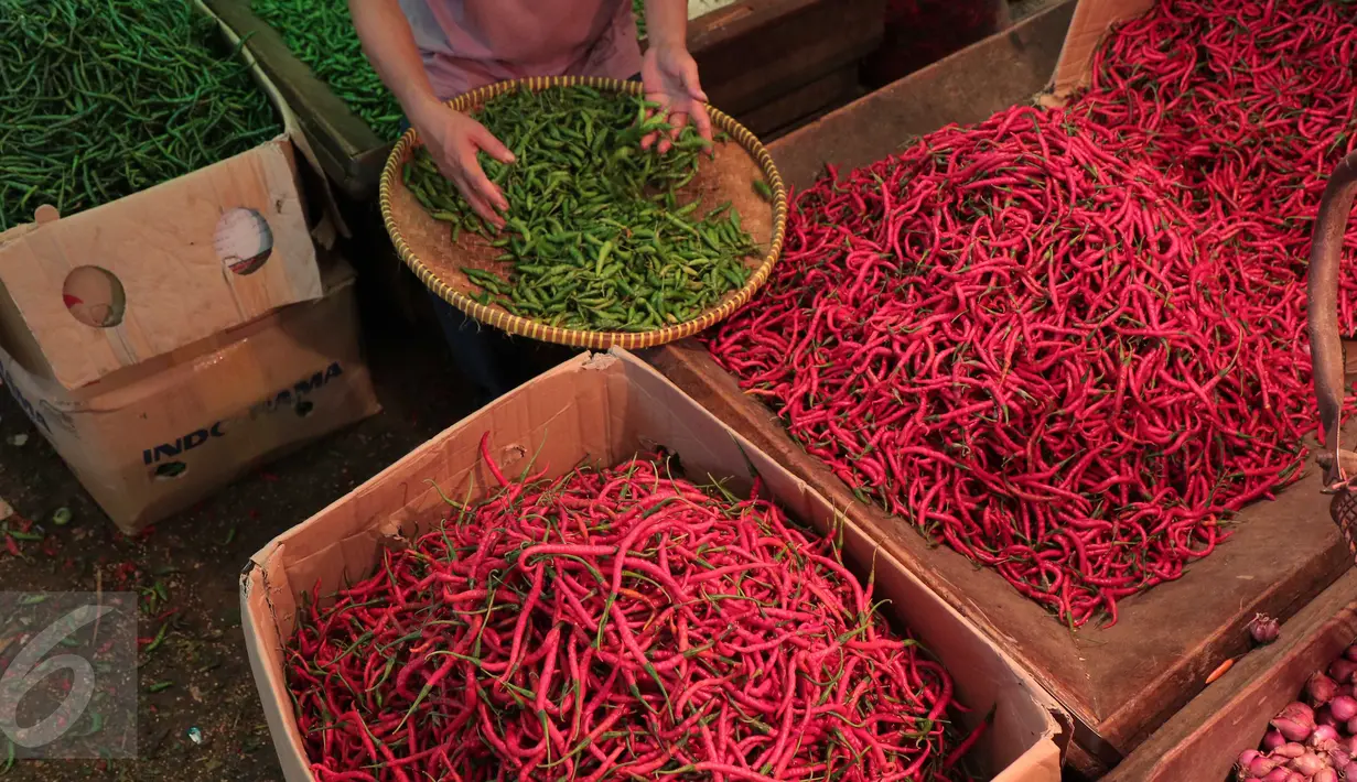 Pedagang tengah menata cabai dagangannya di Pasar Induk Kramat Jati, Jakarta, Selasa (24/11). Harga cabai, baik cabai merah keriting dan rawit, mengalami kenaikan di pasar tradisional. (Liputan6.com/Angga Yuniar)