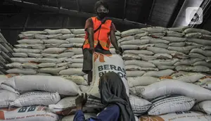 Stok Beras Nasional Capai 5,17 Juta Ton, Aman hingga 1 Tahun