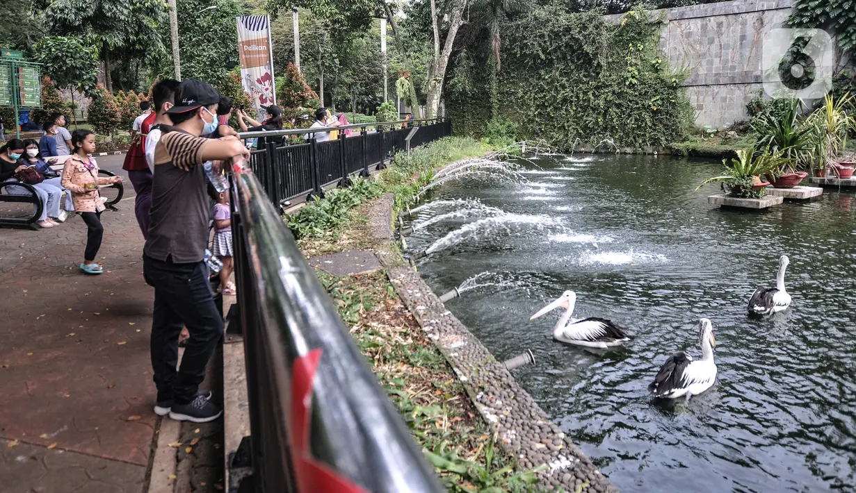 FOTO: Libur Lebaran di Taman Margasatwa Ragunan - Foto Liputan6.com