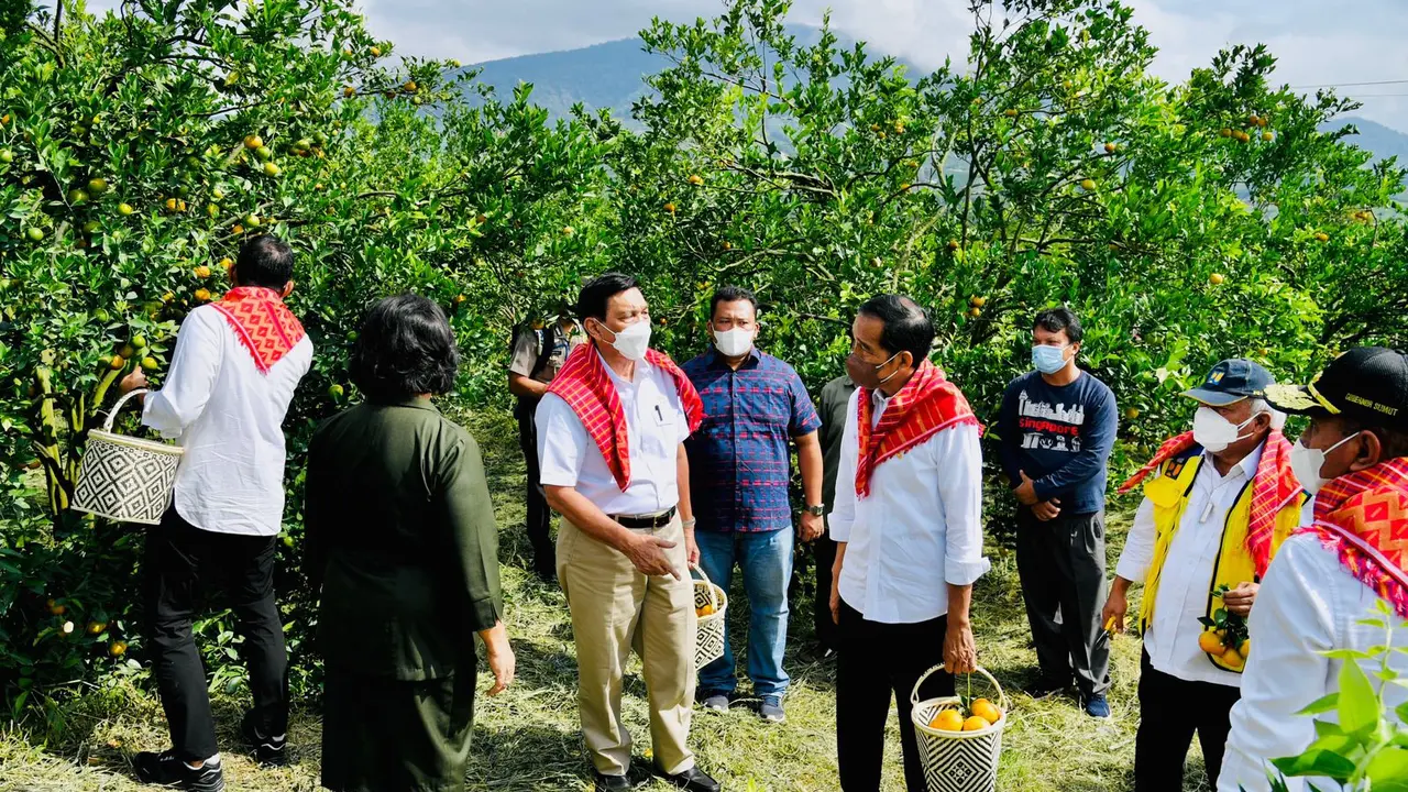 Presiden Jokowi meninjau kegiatan penanganan Jalan Liang Melas Datas, Kabupaten Karo, Provinsi Sumatera Utara