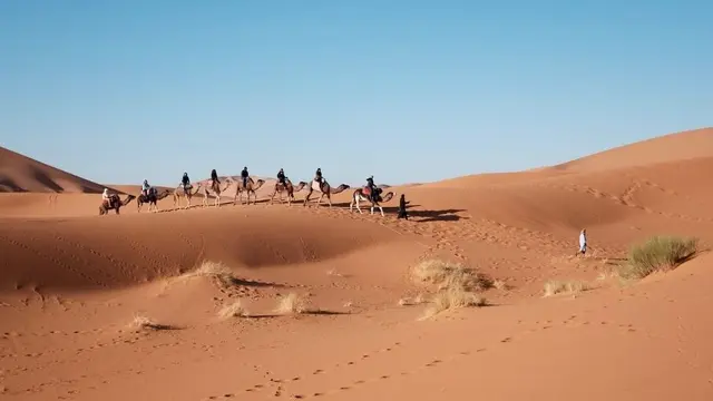 Keajaiban Alam yang Unik, Turun Salju di Gurun Sahara yang Tandus