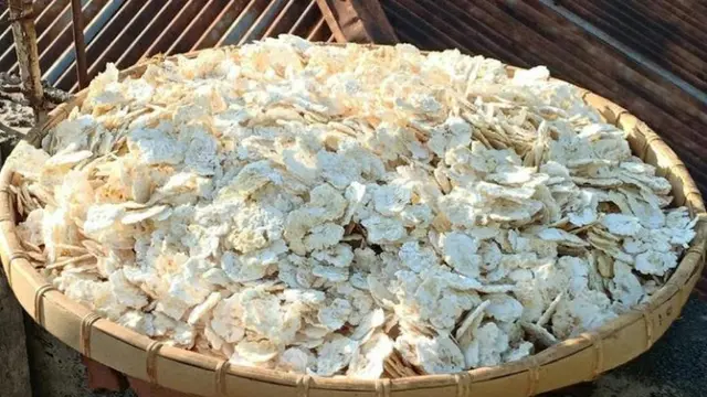 Jagung Titi, Kuliner Khas Larantuka, Flores Timur, NTT