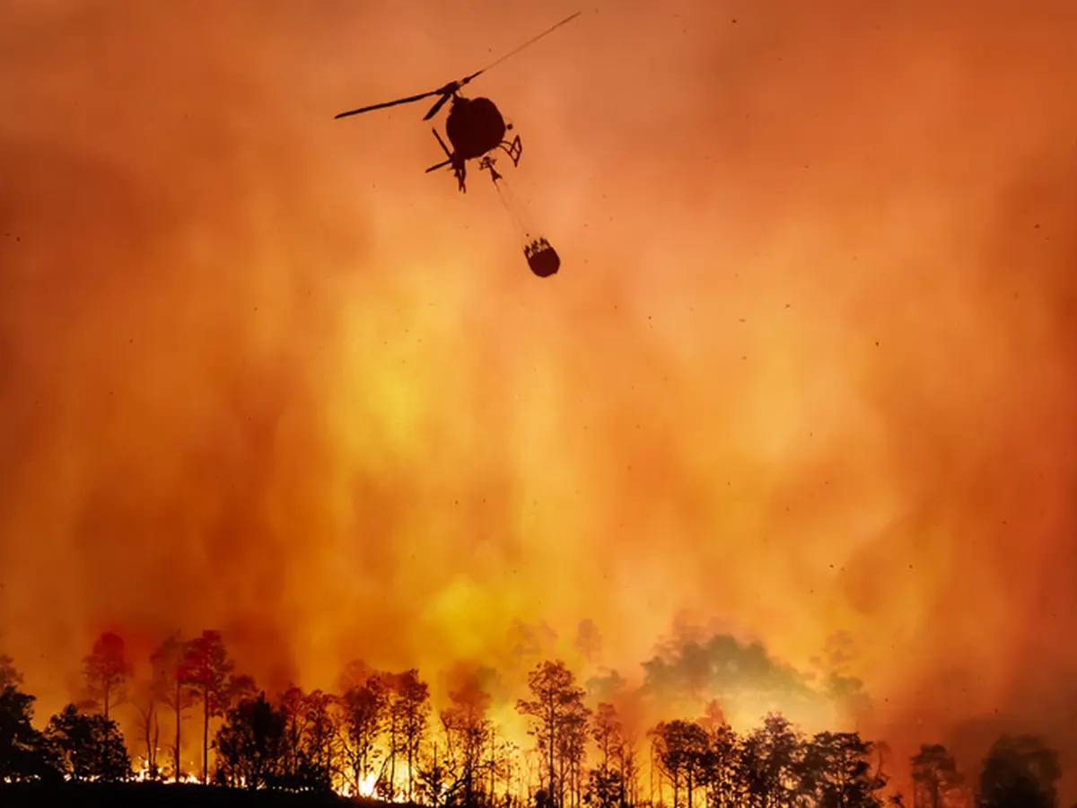 7 Arti Mimpi Kebakaran Yang Tak Banyak Orang Tahu - Lifestyle Fimela.com