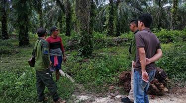 Personel BBKSDA Riau mengecek lokasi temuan jejak satwa liar yang sempat dikira milik harimau sumatra.