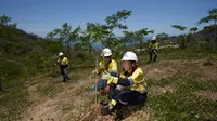 Anak Usaha Merdeka Copper Gold Rehabilitasi 77,3 Hektar Lahan Eks Lokasi Tambang di Banyuwangi