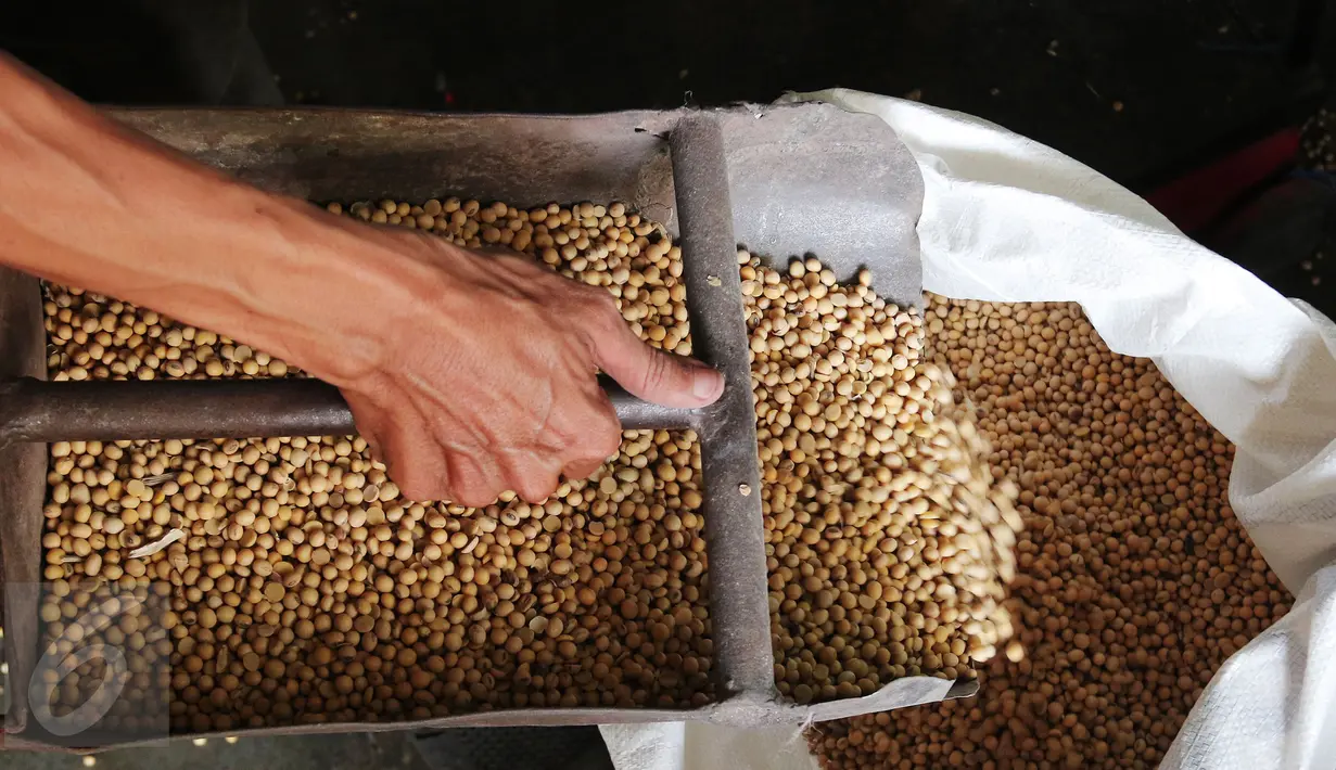 Pekerja tengah mengangkat kacang kedelai untuk dijadikan bahan dasar pembuatan tahu di Jakarta, Rabu (6/1/). Dari kebutuhan sekitar 2,5 juta ton per tahun, 1,7 juta ton diantaranya harus dipenuhi dari impor. (Liputan6.com/Angga Yuniar)