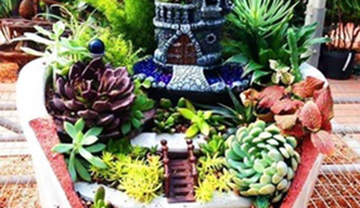 Inspirasi Taman  Mini  di Pot  yang Kece Keren Abis 