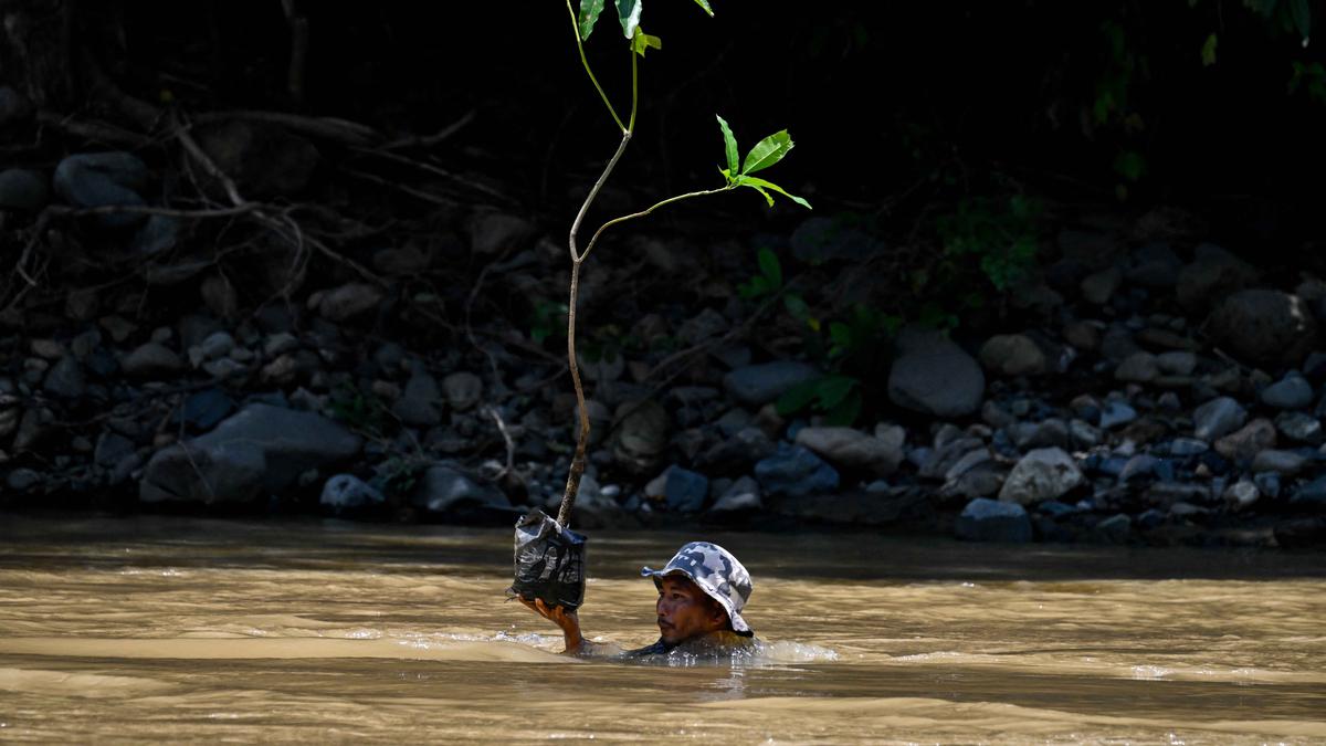 Aksi Nyata Pelestarian Lingkungan pada Peringatan Hari Bumi 2026