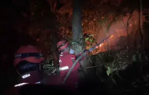 Titik Api di Taman Nasional Babul Bermunculan