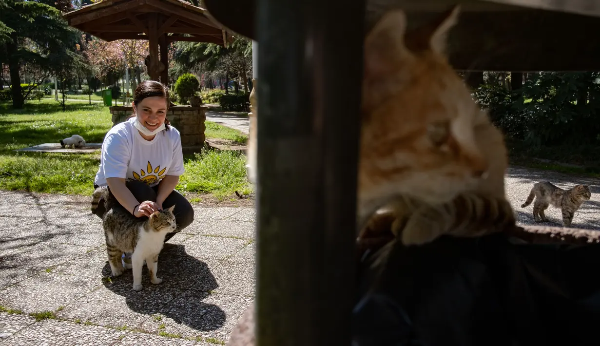 Bahar Cetinkaya, seorang staf Kota Kadikoy, merawat kawanan kucing liar di Istanbul, Turki, pada 18 April 2020. Bahar Cetinkaya dan tiga orang timnya menyusuri jalan di Istanbul dengan mobil membawa makanan kering untuk hewan seiring lockdown di kota tersebut akibat COVID-19. (Xinhua/Yasin Akgul)